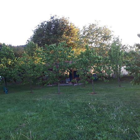 Casa Cionca Pensionat Gilău Exteriör bild