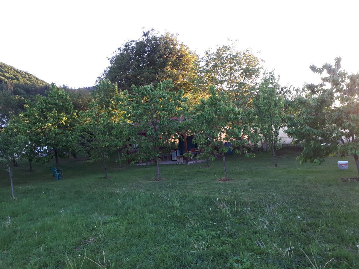 Casa Cionca Pensionat Gilău Exteriör bild