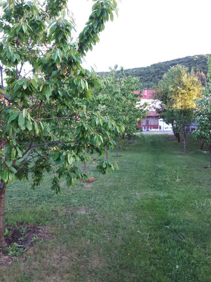 Casa Cionca Pensionat Gilău Exteriör bild